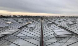kasgoot Liquid rubber