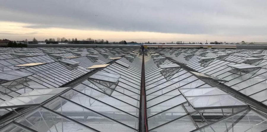 kasgoot Liquid rubber